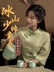 冰山少帅竟是我的傻夫君短剧（86集先婚后爱短剧高清画质在线观赏）