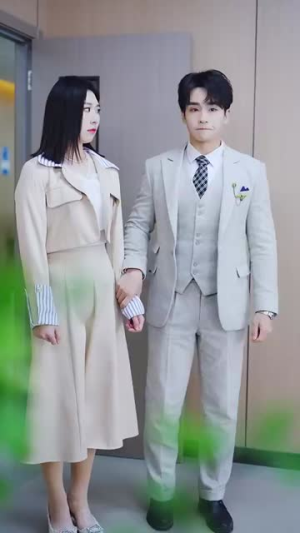 爱上霸道女总裁（73集）短剧热播推荐