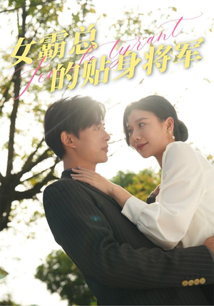 女霸总的贴身将军短剧（80集都市言情短剧全集免费播）