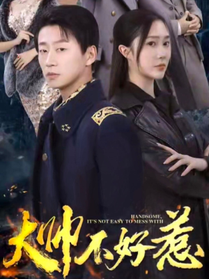 大帅不好惹短剧（79集剧情短剧大结局抢先观看）