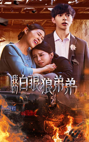 我的白眼狼弟弟短剧（69集都市情感短剧精彩片段在线看）