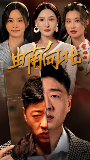 由南向北短剧（88集都市情感短剧高清流畅在线看）