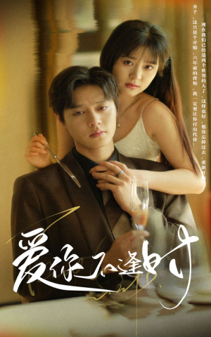 爱你不逢时短剧（91集爱情短剧完整版免费看）