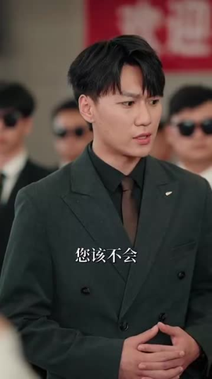 凤凰归巢短剧（69集传奇短剧高清画质在线观看）