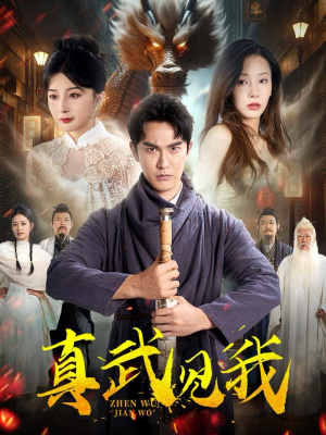 真武见我短剧（60集武侠短剧全集高清在线免费看）