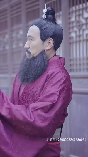 魂穿霸婿（80集）热播短剧分享