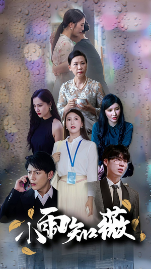 小雨知薇短剧（80集情感短剧高清无广告在线播放）