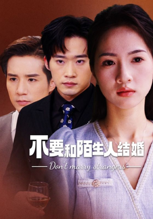 不要和陌生人结婚短剧（90集婚姻伦理短剧免费观看完整版）