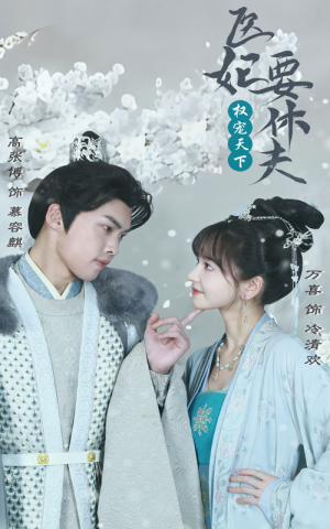 权宠天下：医妃要休夫短剧（94集历史短剧高清画质在线追）