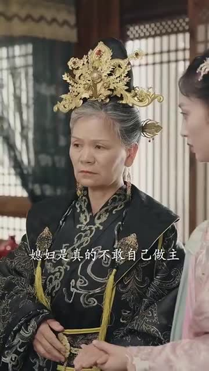 王妃的晋升之路（97集）短剧解说热门
