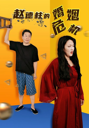赵德柱的婚姻危机短剧（35集剧情短剧无广告流畅看）