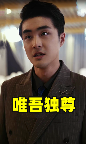 唯吾独尊短剧（96集热血短剧全集在线观看）