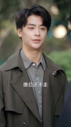 离婚后唐总他打脸了（100集）好看短剧抢先看