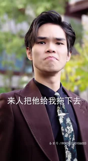 镇域南皇（97集）最新热剧免费看