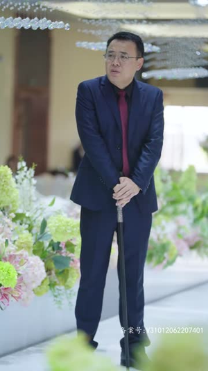 隐世大佬的刺客老婆短剧（100集热血冒险短剧精彩剧情不容错过）