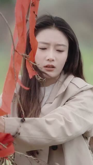 念雨随风（60集）好看的国产短剧