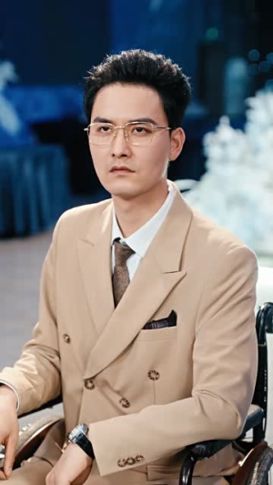 华氏风云（65集）精彩短剧热播