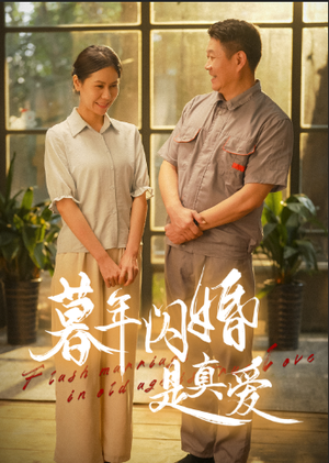 暮年闪婚是真爱短剧（36集婚恋短剧高清流畅在线播放）