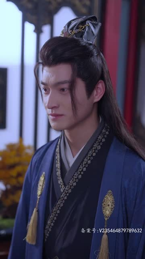 王妃复仇记（70集）免费看