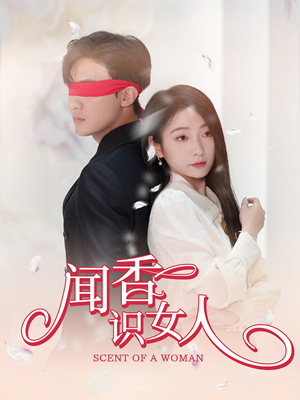 闻香识女人短剧（58集都市爱情短剧手机在线观看）