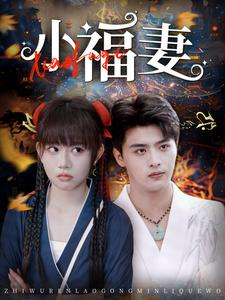 小福妻短剧（62集励志短剧高清完整版在线播）