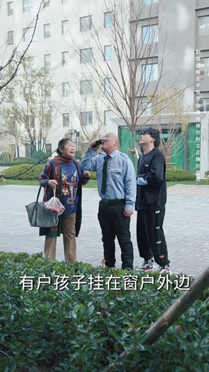 拔苗助长（33集）精彩短剧免费看