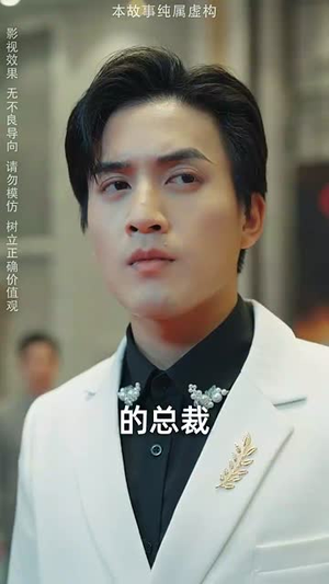 正义之光（74集）短剧免费看全集