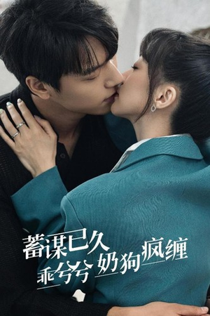 蓄谋已久，乖兮兮奶狗疯缠短剧（94集言情短剧精彩剧情不容错过）