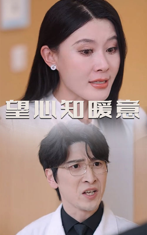 望心知暖意短剧（31集都市情感短剧高清流畅在线观看）