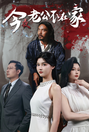 今夜老公不在家短剧（44集伦理短剧高清完整版在线观看）