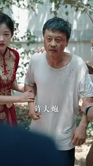 望子成龙（74集）红果短剧看全集