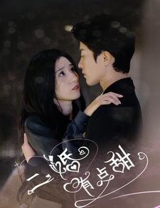 二婚有点甜短剧（88集婚姻题材短剧全集免费观看）