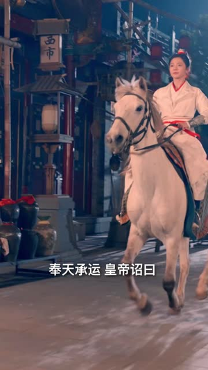 花朝（60集）全部免费看全集