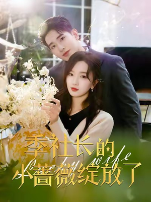 季社长的小蔷薇绽放了短剧（60集爱情短剧甜蜜剧情不容错过）