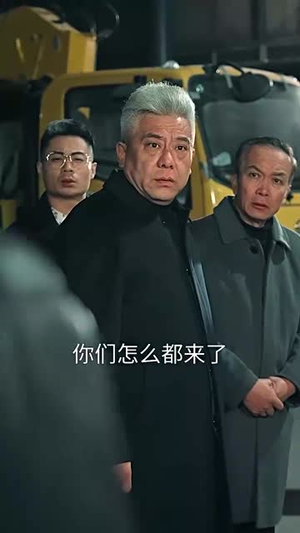 家和万事兴（57集）短剧热门分享