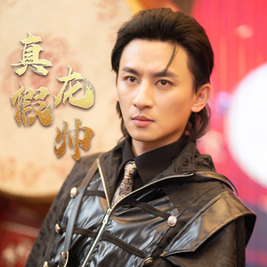 真假龙帅短剧（81集权谋短剧全集剧情在线追）