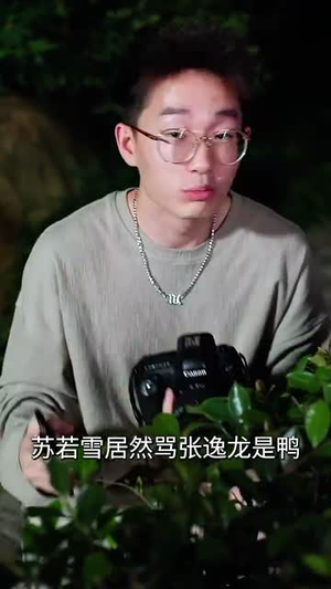 红毯女士（80集）好看的短剧电影