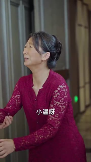 凤燕归巢（60集）免费观看完整版
