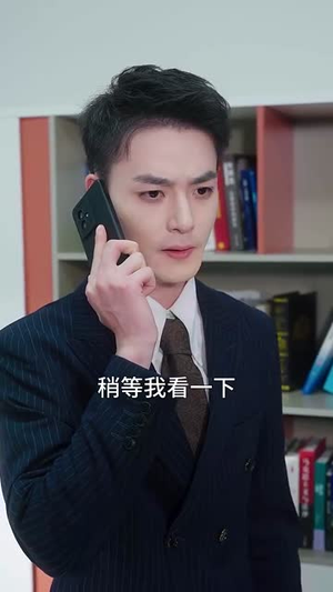 世界赠予我的欢喜与悲伤（60集）看到大结局