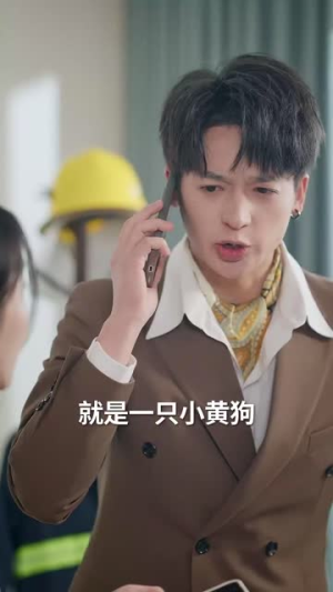 七世赌约（63集）在哪个平台看