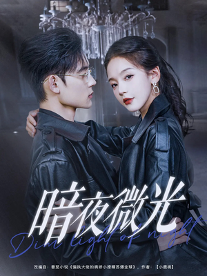 暗夜微光短剧（86集剧情短剧高清完整版在线追更）