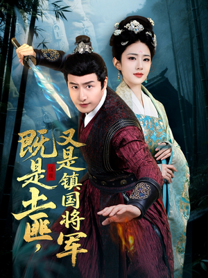 既是土匪，又是镇国将军短剧（65集古装战争短剧全集流畅播放）