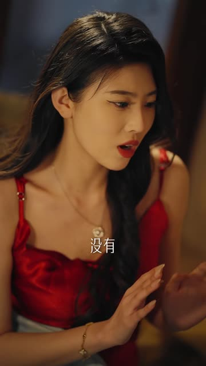 父罪无岸（55集）一共多少集