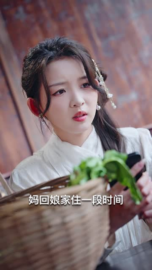 鹿鸣（40集）最新热门短剧
