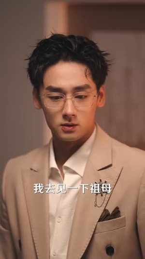 黑天鹅攻略（65集）短剧有好货推荐