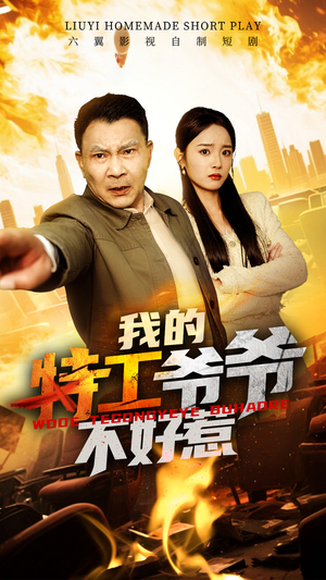 我的特工爷爷不好惹短剧（68集犯罪短剧震撼大结局抢先看）