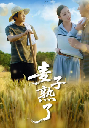 麦子熟了短剧（52集乡村短剧高清流畅在线观看）