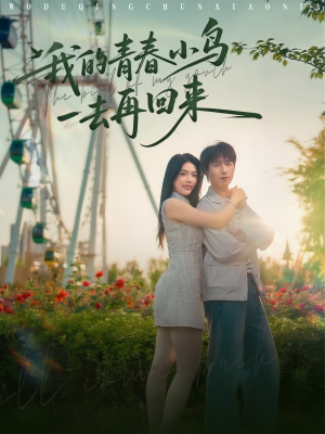 我的青春小鸟一去再回来短剧（95集青春追梦短剧全集高清畅享）