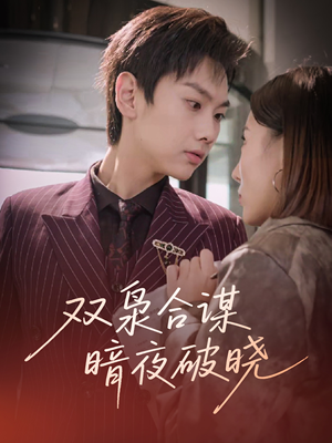 双枭合谋暗夜破晓短剧（30集都市悬疑短剧高清全集在线看）
