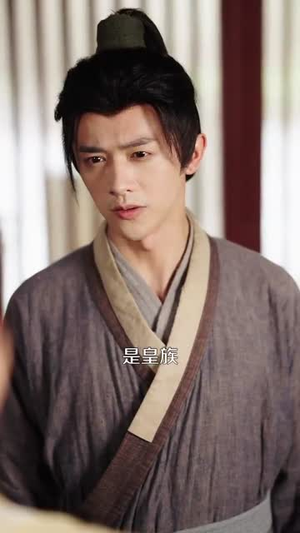 无双庶子（60集）口碑之选免费看